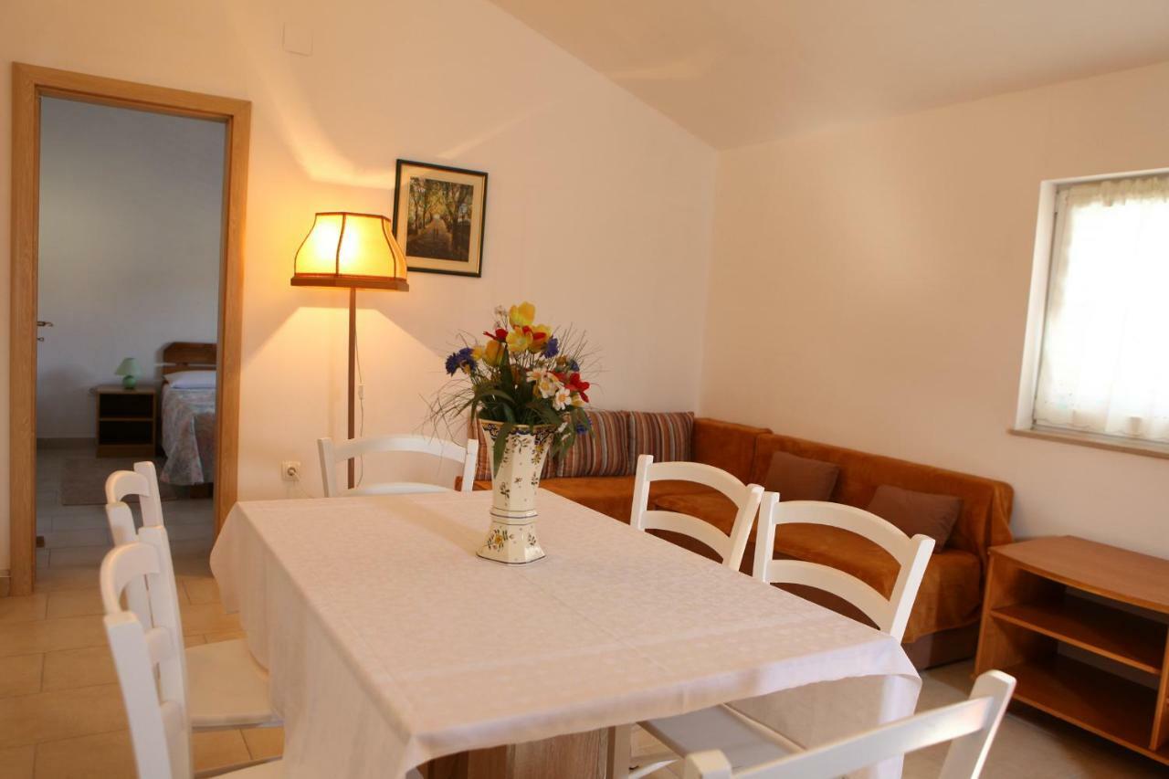 Apartments Vidrice Novigrad  Exterior foto