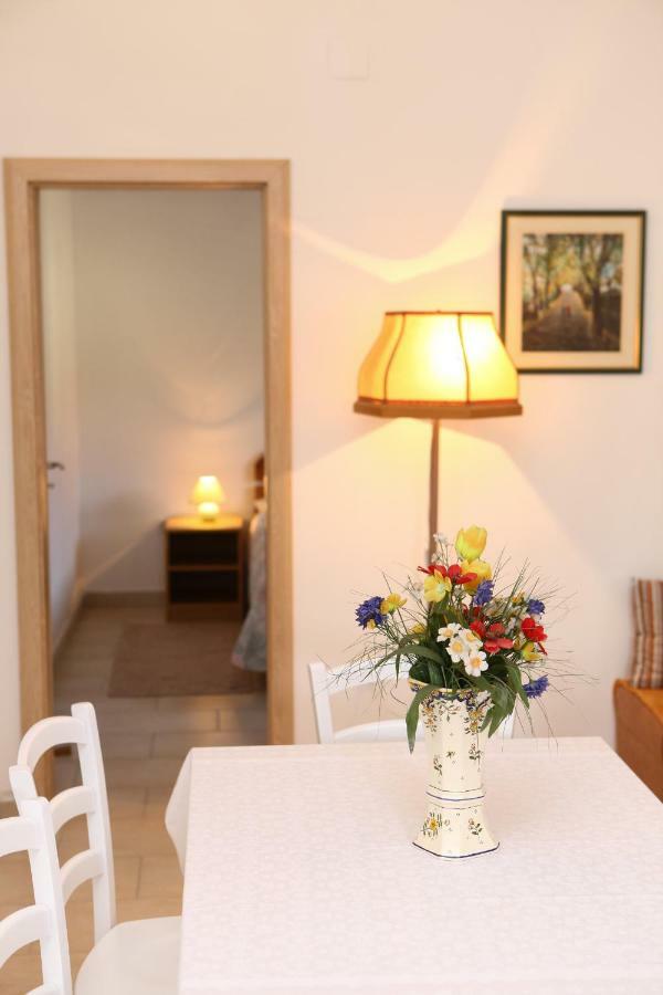 Apartments Vidrice Novigrad  Exterior foto
